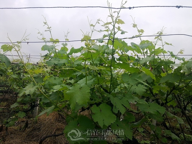 12040821476ee091fa89c59fe2.jpg