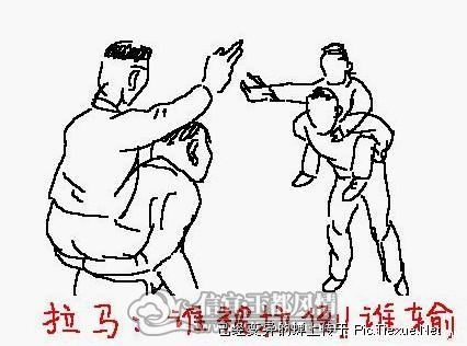 13.jpg