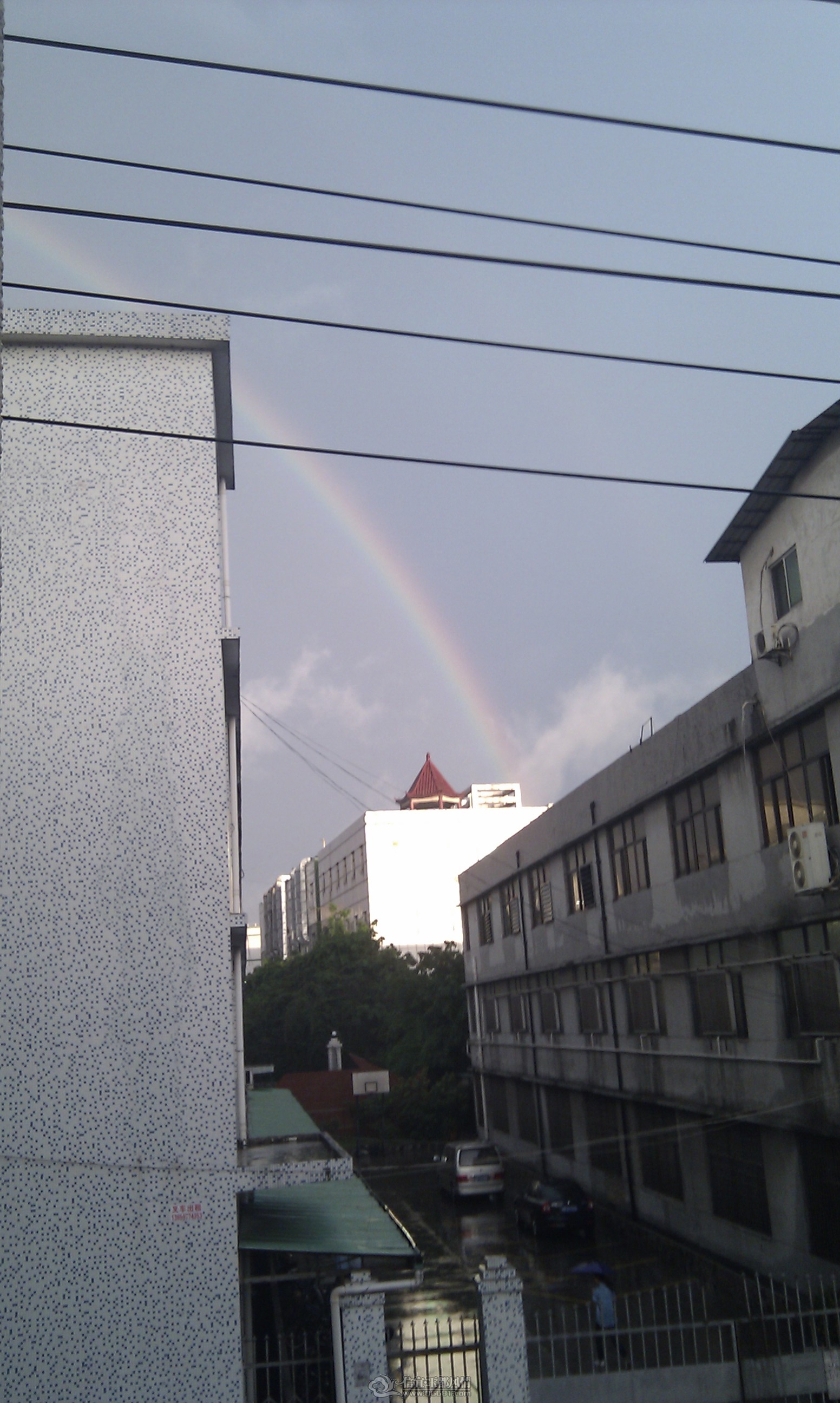 IMAG0056.jpg