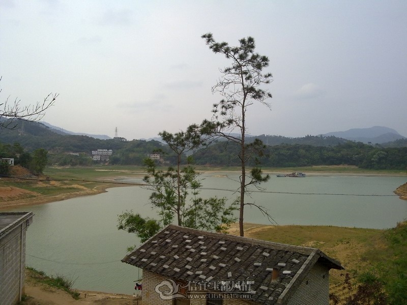 20120402233.jpg