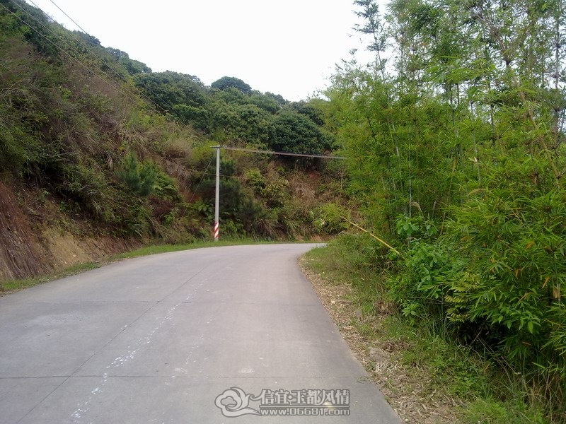 20120402234.jpg