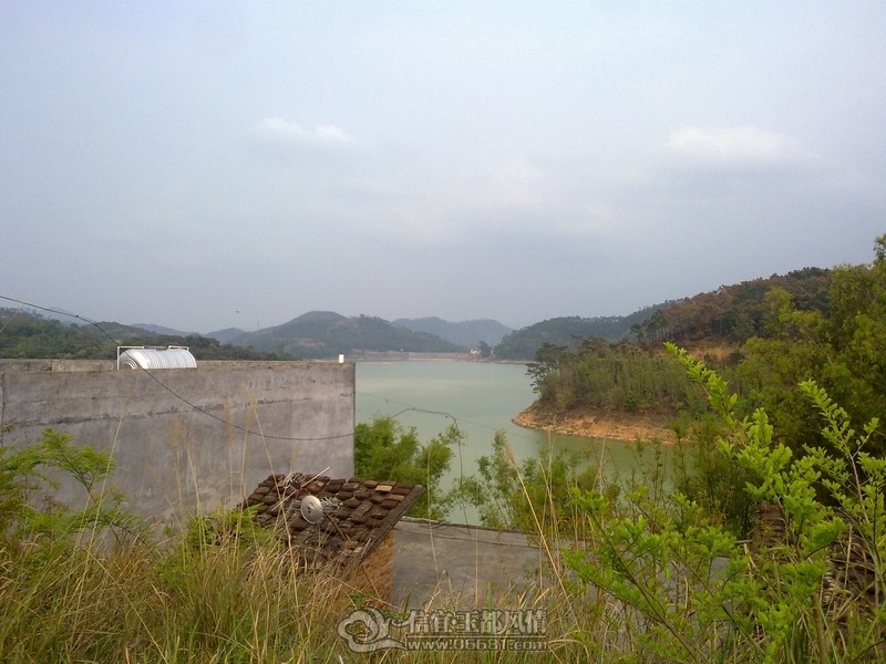 20120402235.jpg