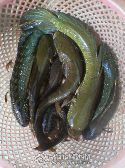 QQ��ͼ20120413223743.png