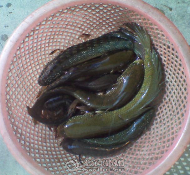 QQ��ͼ20120413223758.png