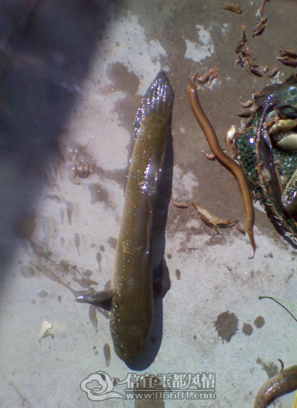 QQ��ͼ20120413223814.png