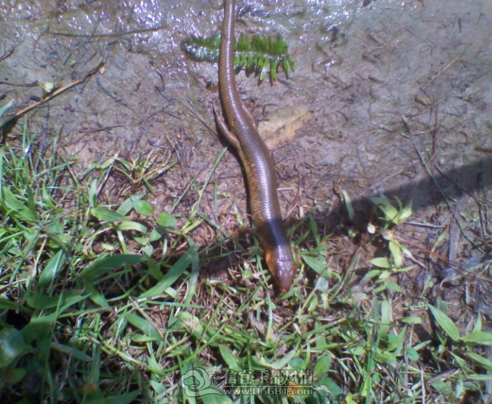 QQ��ͼ20120413223832.png