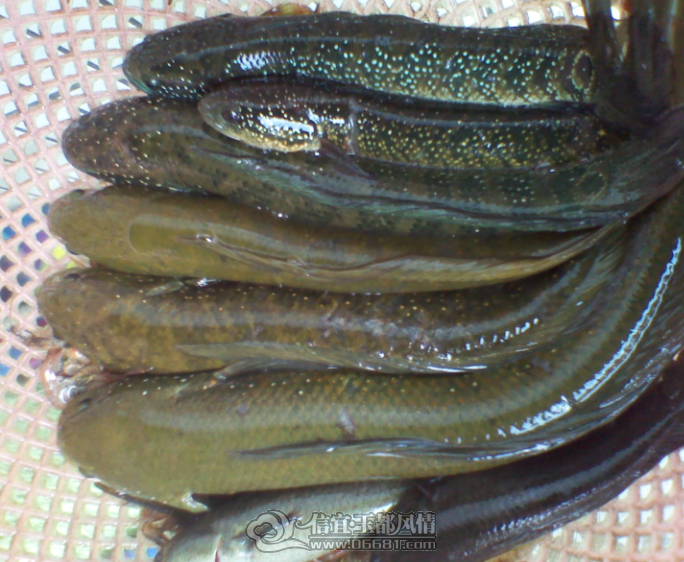 QQ��ͼ20120413224115.png