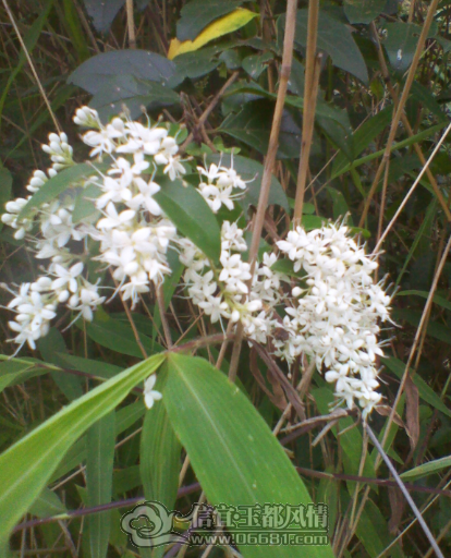 QQ��ͼ20120413224305.png