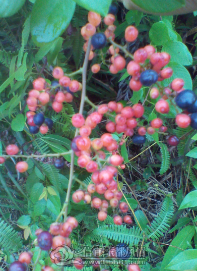 QQ��ͼ20120413224417.png