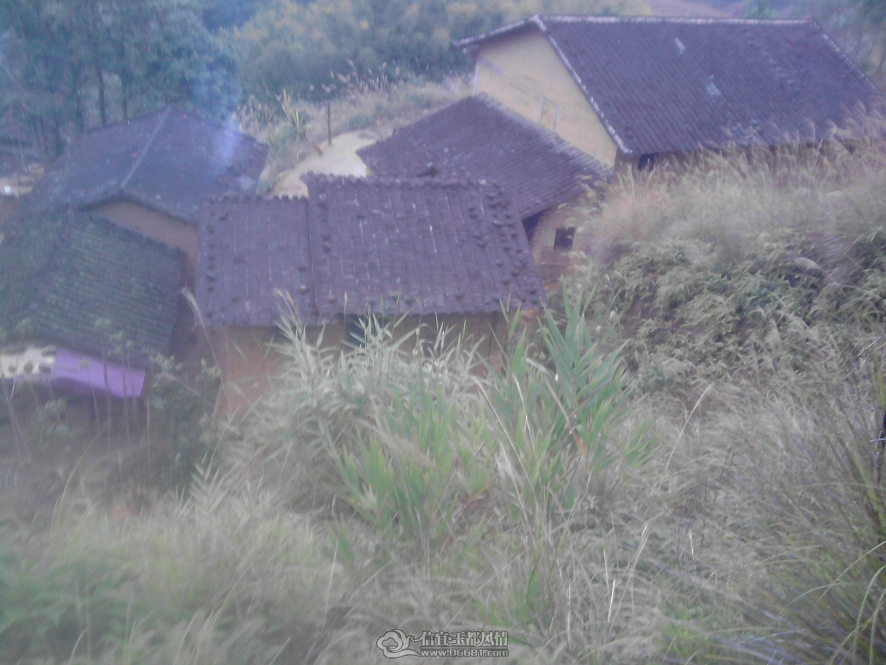 P230112_16.34_[01].jpg