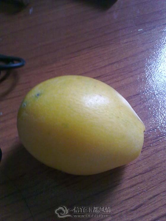 20120330726.jpg
