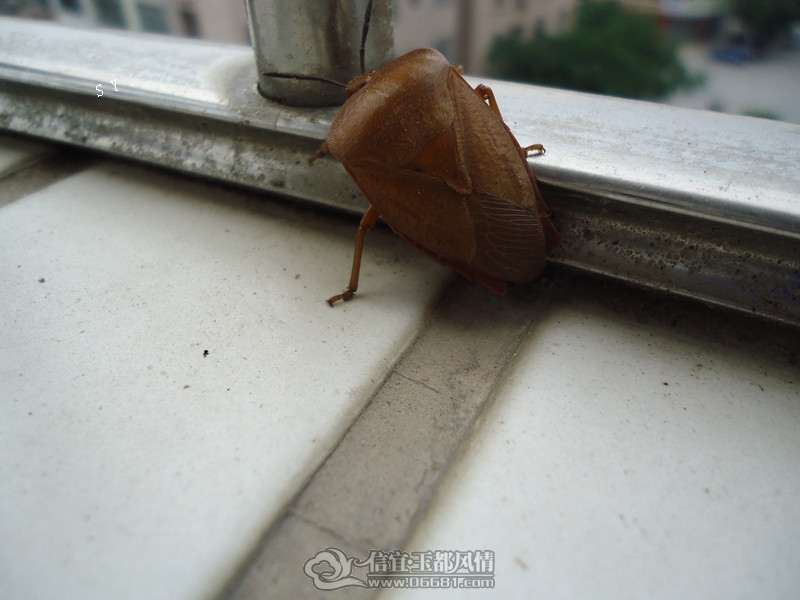 DSC06269_����.jpg