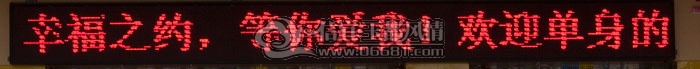 IMG_9801.jpg