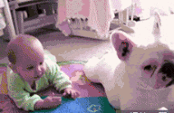 �����Ĳ��ԣ�������������.gif