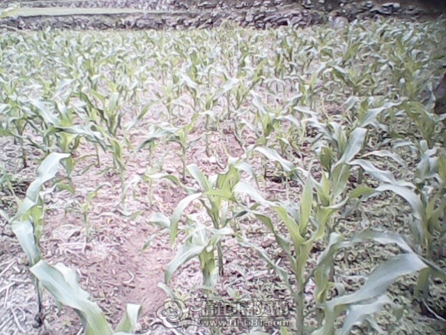030412-0947.jpg