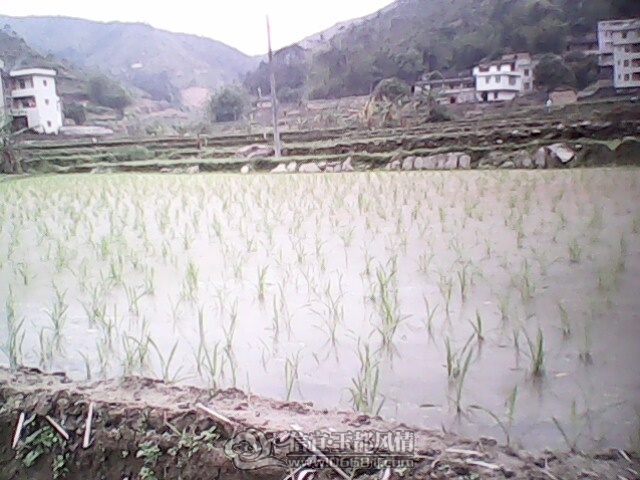 030412-0948(002).jpg