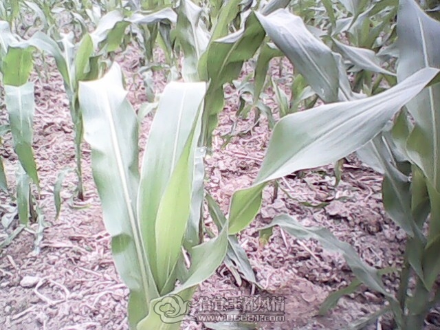 030412-1019.jpg