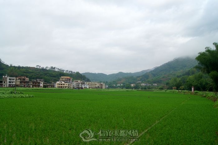 DSC08070.jpg