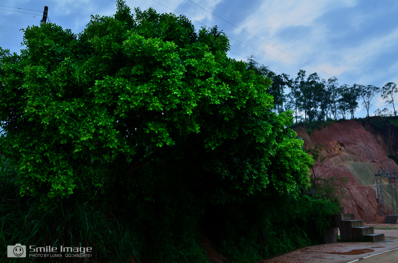 DSC_7677.jpg