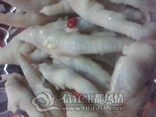 IMG0508A.jpg