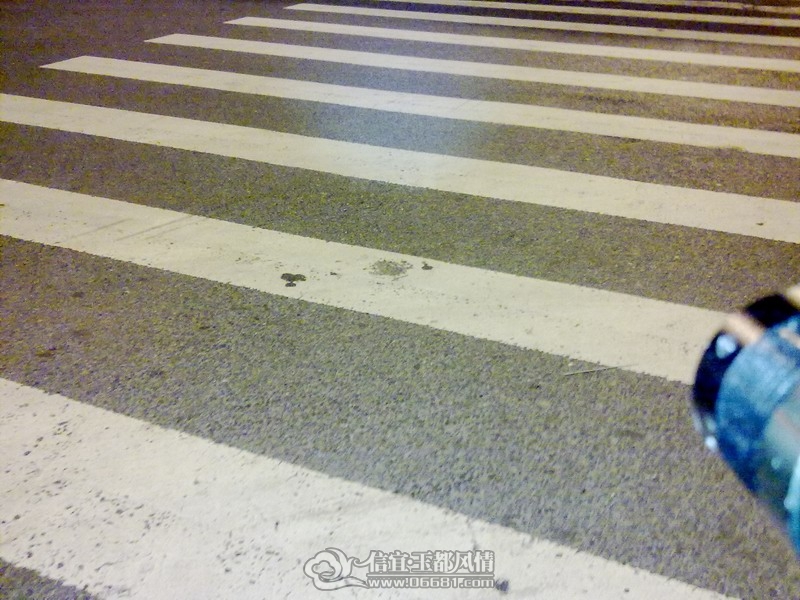 20120421276.jpg