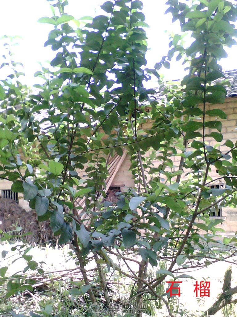 IMG_0189.jpg