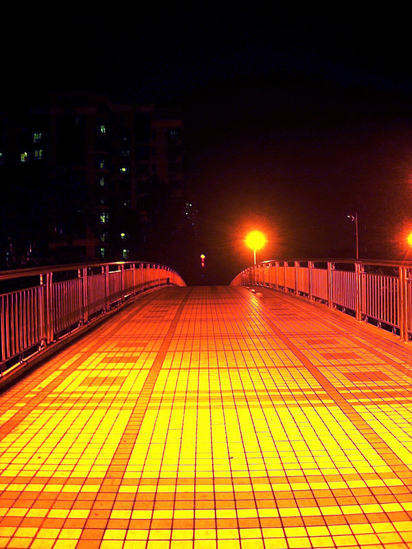 DSCN0564.JPG
