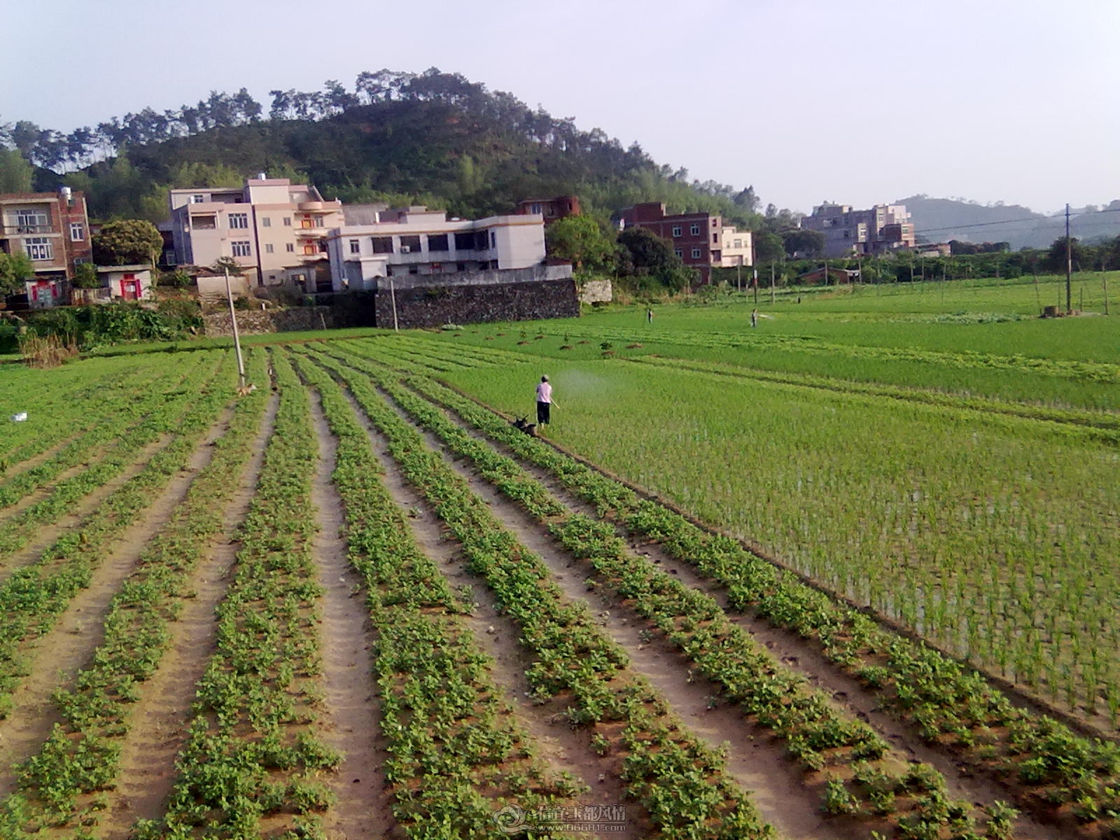 20120421207.jpg
