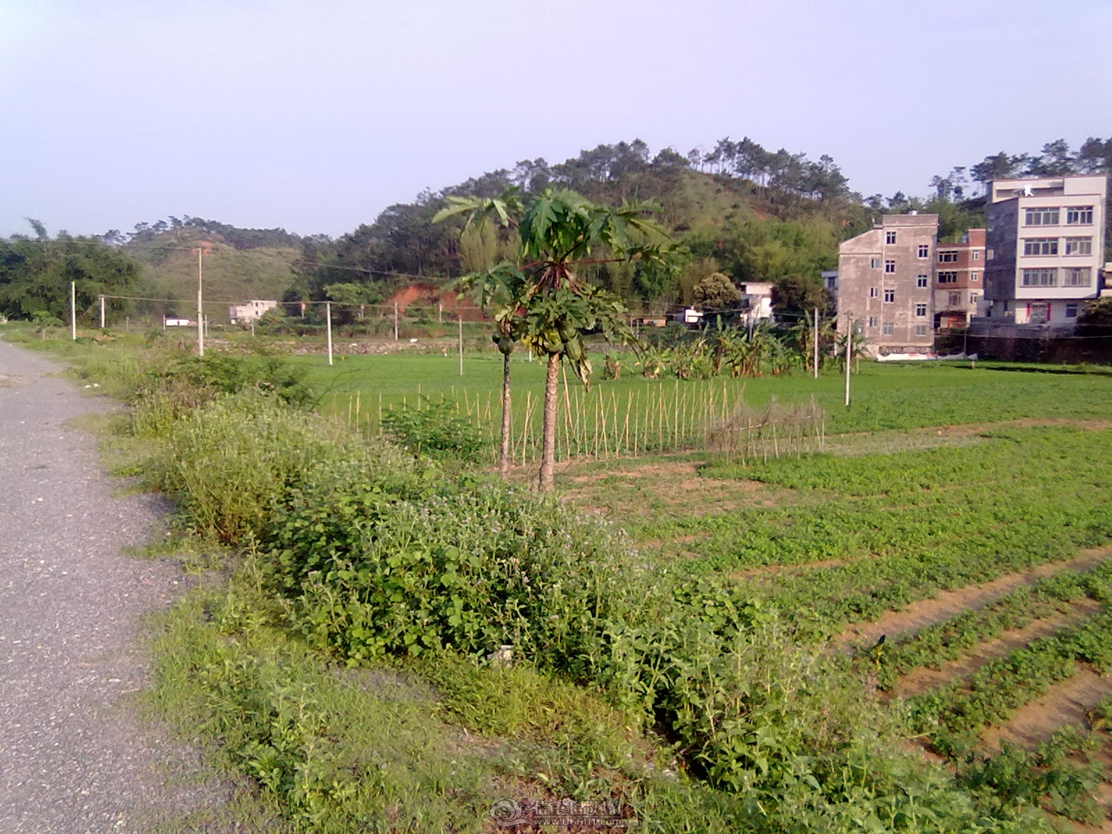 20120421208.jpg