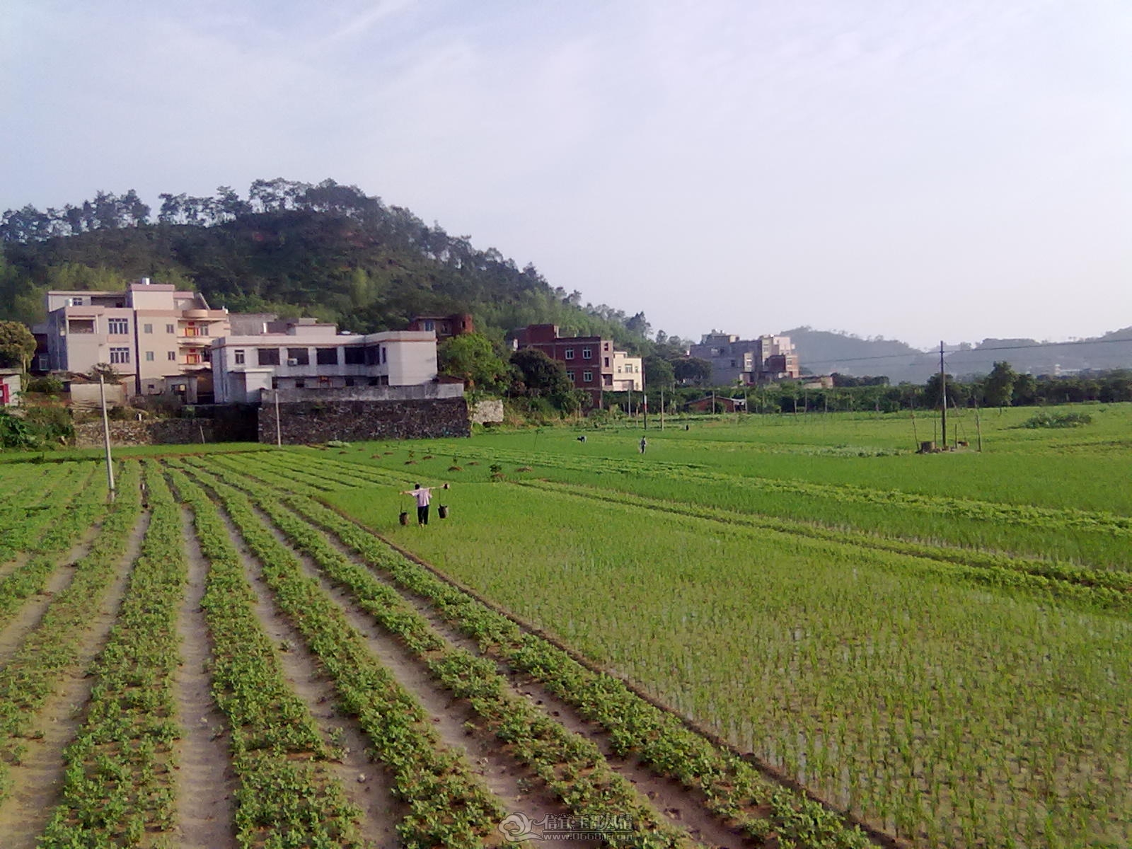 20120421210.jpg