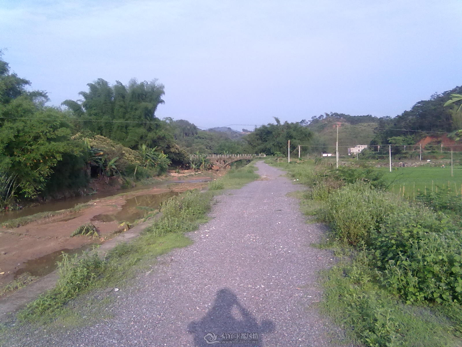 20120421211.jpg