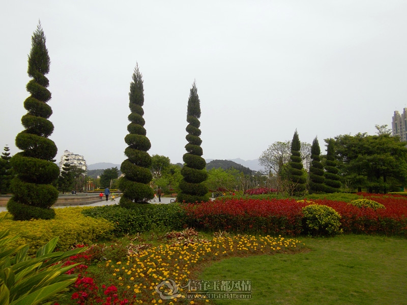 IMGP3148_����.jpg