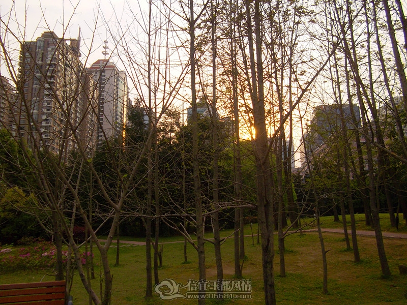 IMGP3120_����.jpg