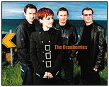 nEO_IMG_cranberries.jpg