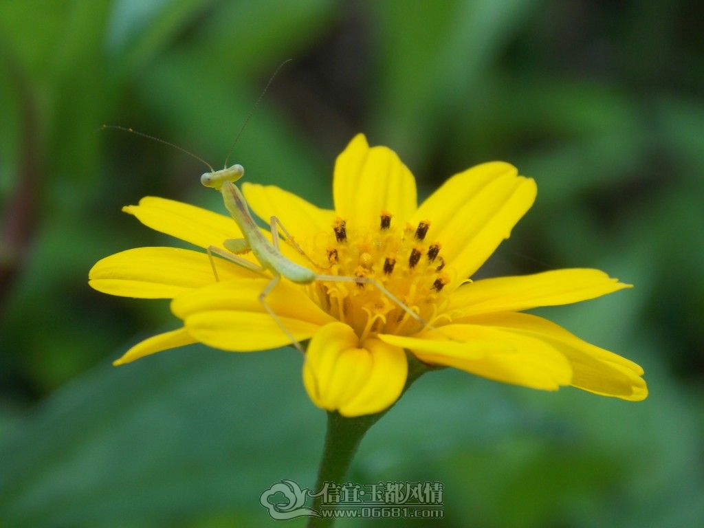 ��Ƭ 044.jpg