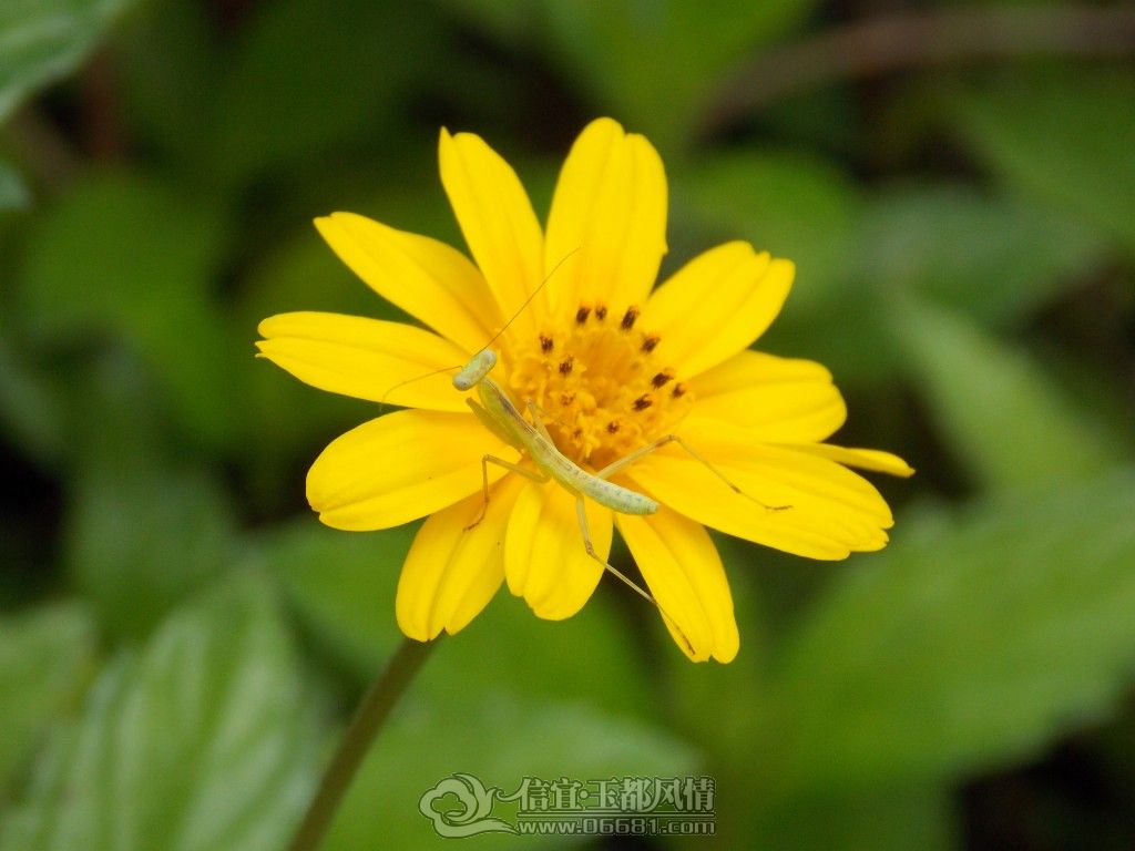 ��Ƭ 041.jpg