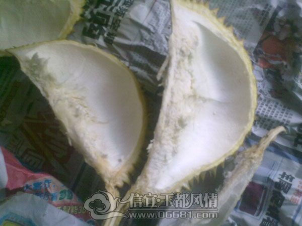 201205034182.jpg