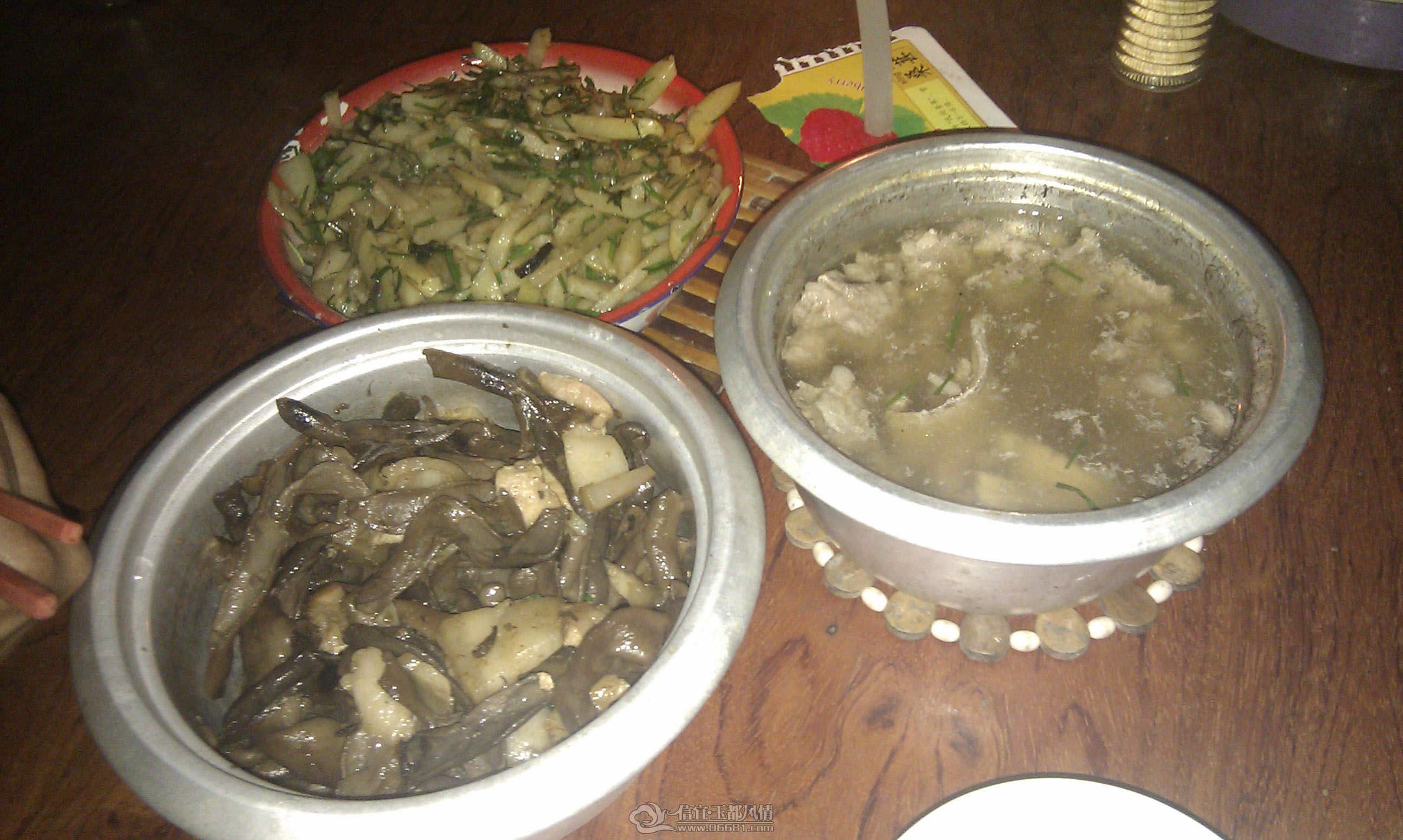 IMAG0069.jpg