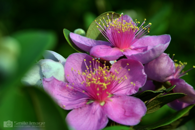 DSC_7811.jpg
