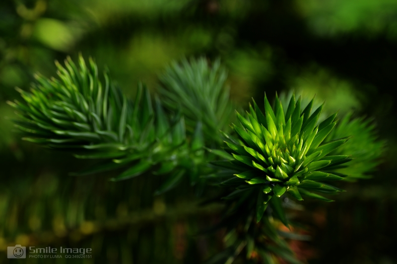 DSC_7823.jpg