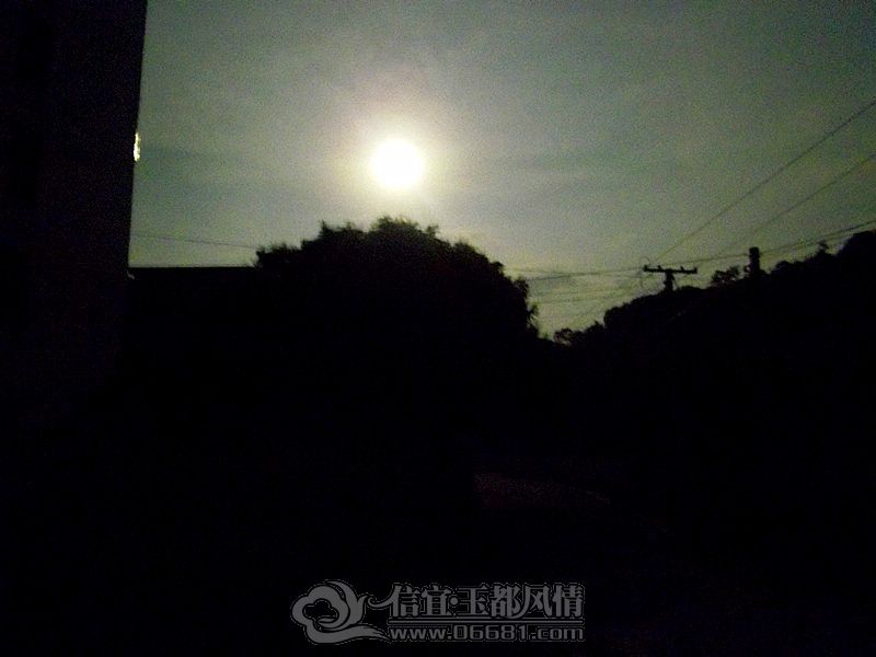IMGP4125_����_����.jpg