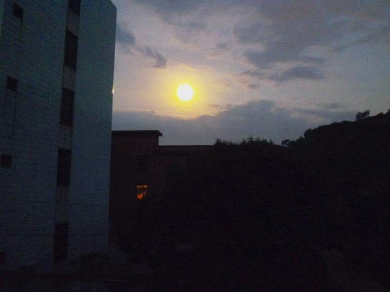 IMGP4105_����_����.jpg