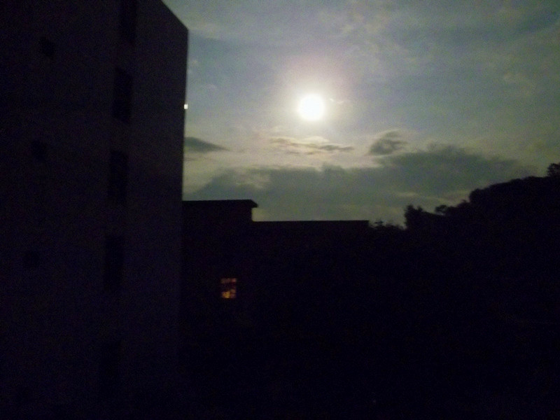 IMGP4114_����_����.jpg