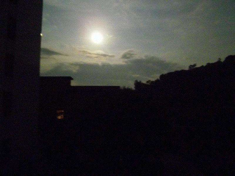 IMGP4115_����_����.jpg
