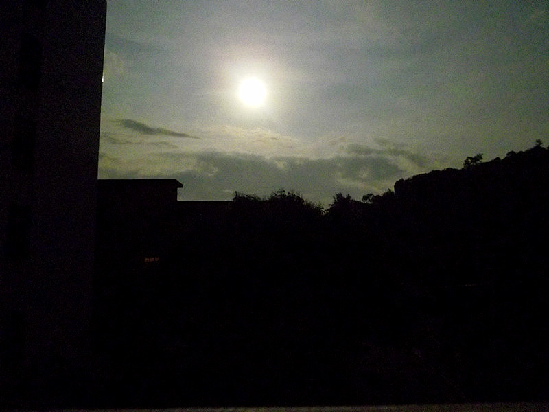 IMGP4121_����_����.jpg