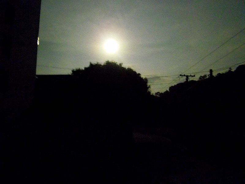 IMGP4125_����_����.jpg