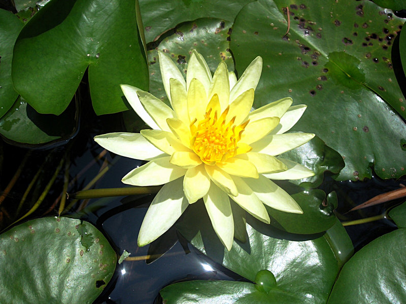 DSCN0614.JPG