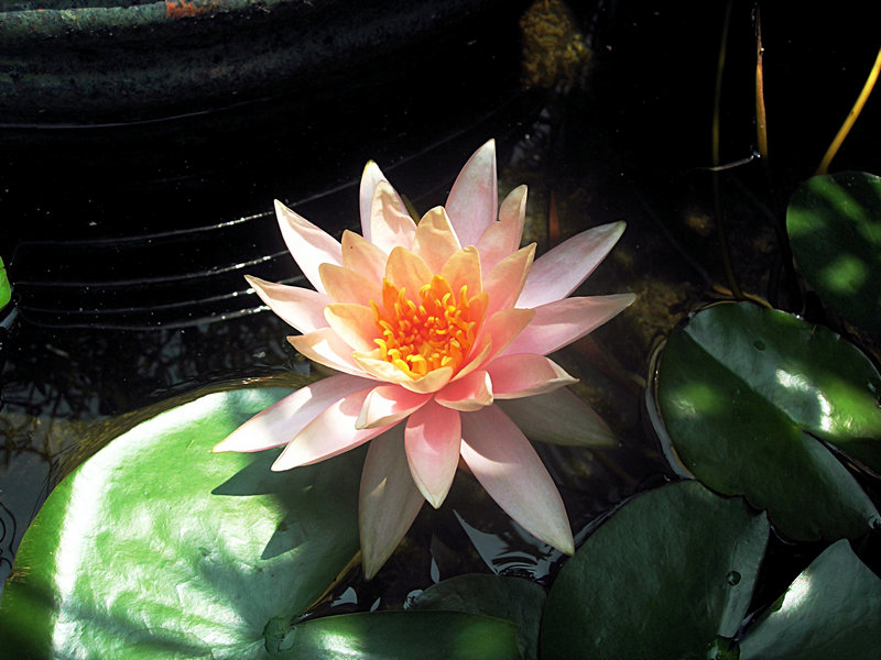 DSCN0615.JPG
