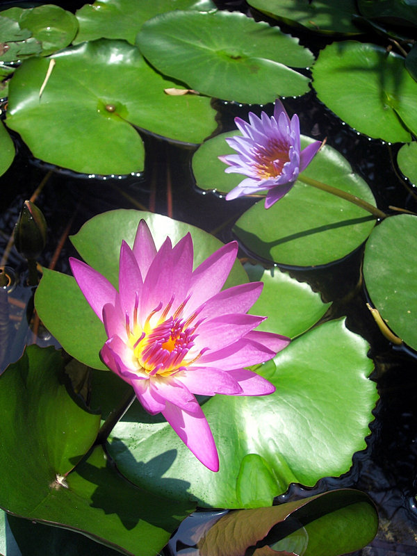 DSCN0616.JPG