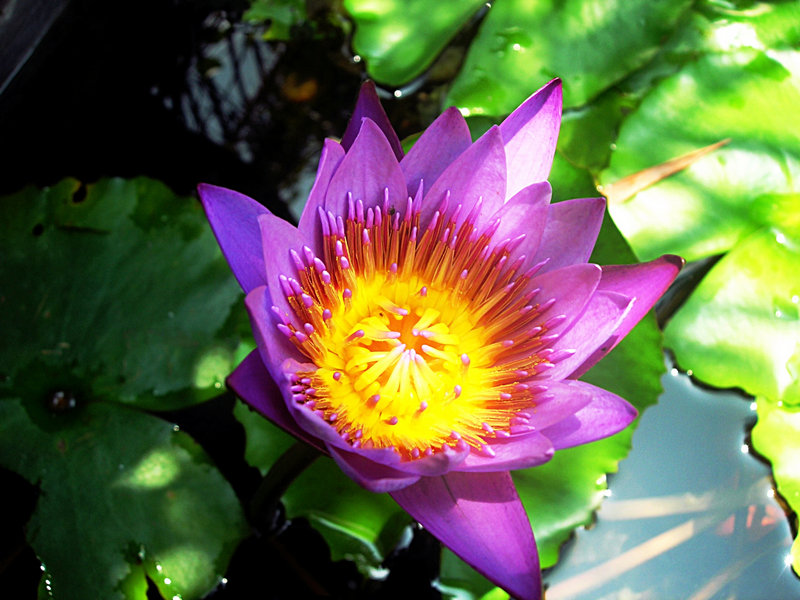 DSCN0617.JPG